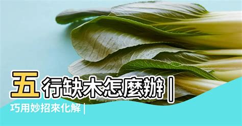 五行缺木怎麼辦